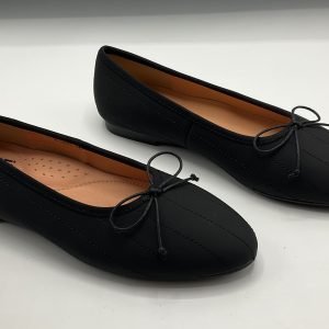 WINDY-AW25 Black Gum