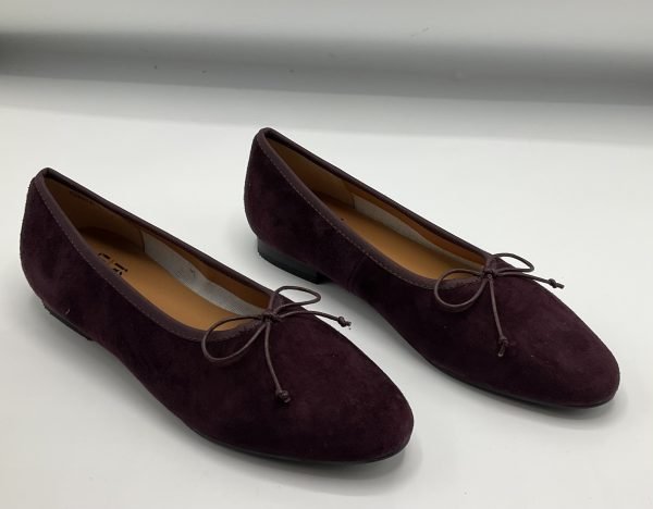 CHAVA-AW25 Plum Suede